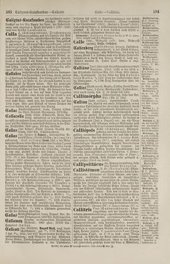 Image of the Page - 594 - in Pierers Konversations-Lexikon - Botts-Dampfpflug, Volume 3