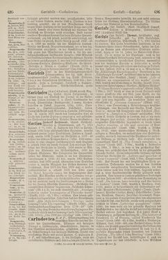 Image of the Page - 696 - in Pierers Konversations-Lexikon - Botts-Dampfpflug, Volume 3