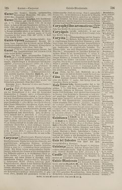 Image of the Page - 726 - in Pierers Konversations-Lexikon - Botts-Dampfpflug, Volume 3