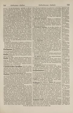 Bild der Seite - 742 - in Pierers Konversations-Lexikon - Botts-Dampfpflug, Band 3