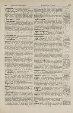 Image of the Page - 806 - in Pierers Konversations-Lexikon - Botts-Dampfpflug, Volume 3