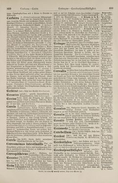 Bild der Seite - 810 - in Pierers Konversations-Lexikon - Botts-Dampfpflug, Band 3