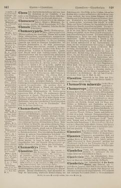 Bild der Seite - 848 - in Pierers Konversations-Lexikon - Botts-Dampfpflug, Band 3