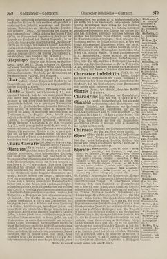 Bild der Seite - 870 - in Pierers Konversations-Lexikon - Botts-Dampfpflug, Band 3