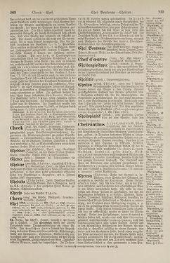 Bild der Seite - 910 - in Pierers Konversations-Lexikon - Botts-Dampfpflug, Band 3