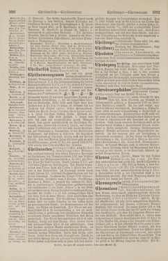Bild der Seite - 1092 - in Pierers Konversations-Lexikon - Botts-Dampfpflug, Band 3