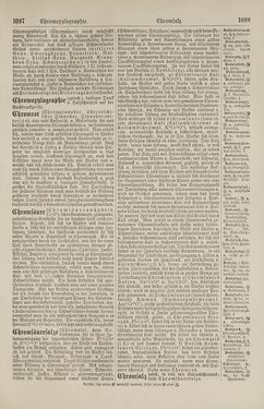 Bild der Seite - 1098 - in Pierers Konversations-Lexikon - Botts-Dampfpflug, Band 3