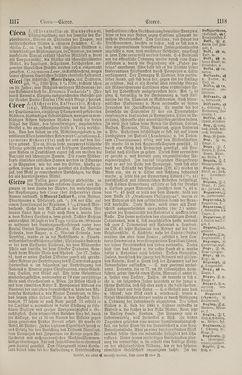 Bild der Seite - 1118 - in Pierers Konversations-Lexikon - Botts-Dampfpflug, Band 3