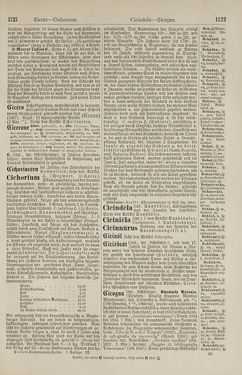 Bild der Seite - 1122 - in Pierers Konversations-Lexikon - Botts-Dampfpflug, Band 3