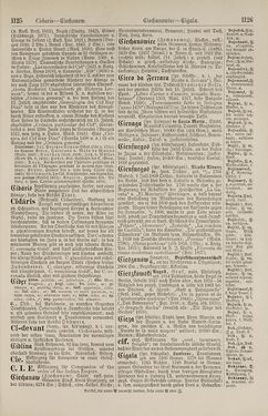 Bild der Seite - 1126 - in Pierers Konversations-Lexikon - Botts-Dampfpflug, Band 3