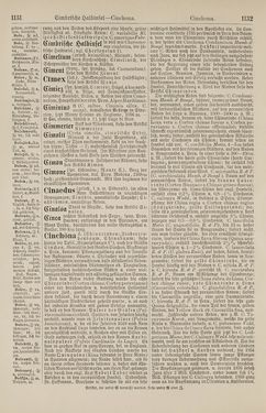 Bild der Seite - 1132 - in Pierers Konversations-Lexikon - Botts-Dampfpflug, Band 3