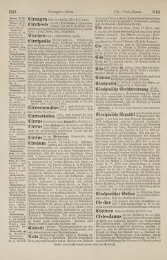 Bild der Seite - 1144 - in Pierers Konversations-Lexikon - Botts-Dampfpflug, Band 3