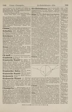Image of the Page - 1146 - in Pierers Konversations-Lexikon - Botts-Dampfpflug, Volume 3