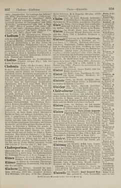 Image of the Page - 1158 - in Pierers Konversations-Lexikon - Botts-Dampfpflug, Volume 3