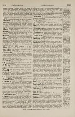 Bild der Seite - 1202 - in Pierers Konversations-Lexikon - Botts-Dampfpflug, Band 3