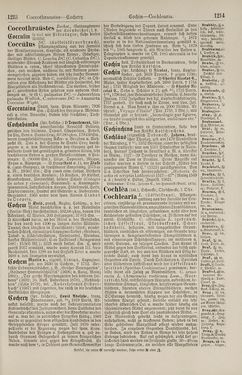 Bild der Seite - 1214 - in Pierers Konversations-Lexikon - Botts-Dampfpflug, Band 3