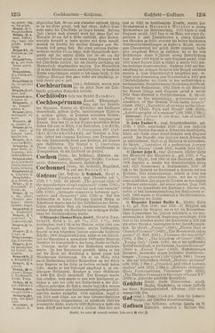 Bild der Seite - 1216 - in Pierers Konversations-Lexikon - Botts-Dampfpflug, Band 3