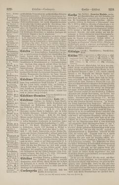 Bild der Seite - 1224 - in Pierers Konversations-Lexikon - Botts-Dampfpflug, Band 3