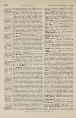 Bild der Seite - 1248 - in Pierers Konversations-Lexikon - Botts-Dampfpflug, Band 3