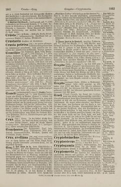 Bild der Seite - 1462 - in Pierers Konversations-Lexikon - Botts-Dampfpflug, Band 3