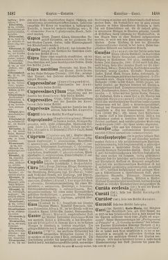 Image of the Page - 1488 - in Pierers Konversations-Lexikon - Botts-Dampfpflug, Volume 3