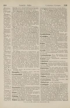 Bild der Seite - 1520 - in Pierers Konversations-Lexikon - Botts-Dampfpflug, Band 3