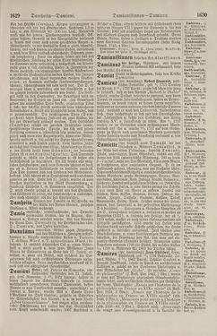 Bild der Seite - 1630 - in Pierers Konversations-Lexikon - Botts-Dampfpflug, Band 3