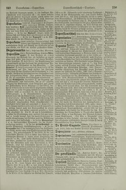 Bild der Seite - 250 - in Pierers Konversations-Lexikon - Dampfpumpe-Emaillierte Thonwaren, Band 4