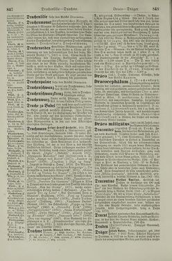 Image of the Page - 848 - in Pierers Konversations-Lexikon - Dampfpumpe-Emaillierte Thonwaren, Volume 4