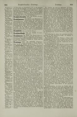 Image of the Page - 856 - in Pierers Konversations-Lexikon - Dampfpumpe-Emaillierte Thonwaren, Volume 4