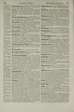 Bild der Seite - 1136 - in Pierers Konversations-Lexikon - Dampfpumpe-Emaillierte Thonwaren, Band 4
