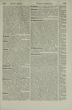 Bild der Seite - 1138 - in Pierers Konversations-Lexikon - Dampfpumpe-Emaillierte Thonwaren, Band 4