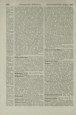 Bild der Seite - 1244 - in Pierers Konversations-Lexikon - Dampfpumpe-Emaillierte Thonwaren, Band 4