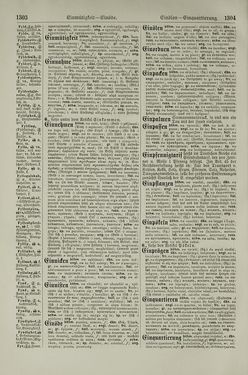 Image of the Page - 1304 - in Pierers Konversations-Lexikon - Dampfpumpe-Emaillierte Thonwaren, Volume 4