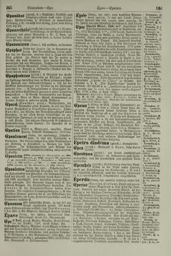 Image of the Page - 166 - in Pierers Konversations-Lexikon - Emailmalerei-Fronton, Volume 5