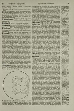 Image of the Page - 174 - in Pierers Konversations-Lexikon - Emailmalerei-Fronton, Volume 5