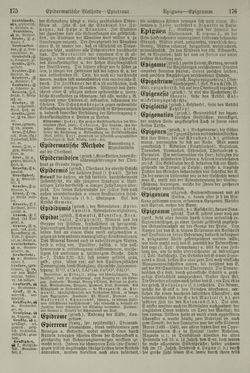 Image of the Page - 176 - in Pierers Konversations-Lexikon - Emailmalerei-Fronton, Volume 5