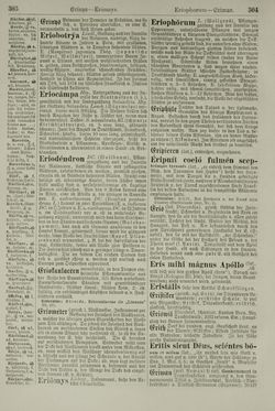 Image of the Page - 304 - in Pierers Konversations-Lexikon - Emailmalerei-Fronton, Volume 5