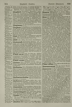 Image of the Page - 1156 - in Pierers Konversations-Lexikon - Emailmalerei-Fronton, Volume 5