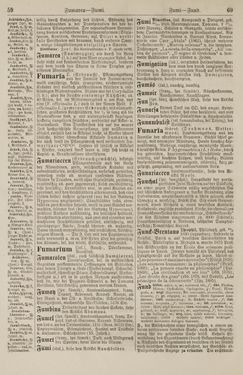 Image of the Page - 60 - in Pierers Konversations-Lexikon - Front Range - Hallenkirche, Volume 6