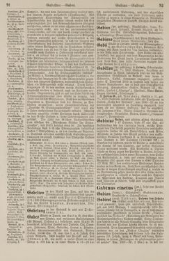 Image of the Page - 92 - in Pierers Konversations-Lexikon - Front Range - Hallenkirche, Volume 6