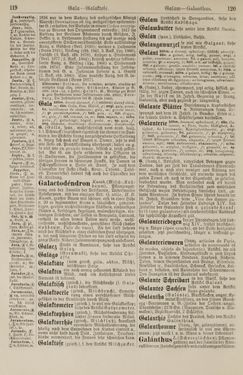 Image of the Page - 120 - in Pierers Konversations-Lexikon - Front Range - Hallenkirche, Volume 6