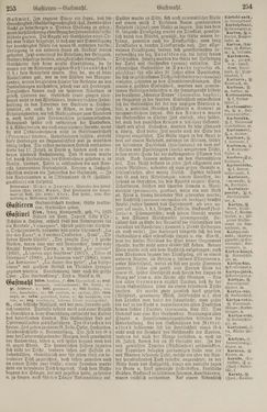 Image of the Page - 254 - in Pierers Konversations-Lexikon - Front Range - Hallenkirche, Volume 6