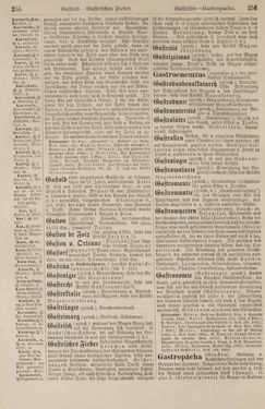 Image of the Page - 256 - in Pierers Konversations-Lexikon - Front Range - Hallenkirche, Volume 6