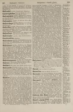 Image of the Page - 258 - in Pierers Konversations-Lexikon - Front Range - Hallenkirche, Volume 6