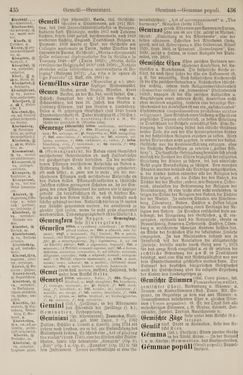 Image of the Page - 436 - in Pierers Konversations-Lexikon - Front Range - Hallenkirche, Volume 6
