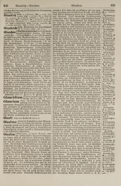 Image of the Page - 826 - in Pierers Konversations-Lexikon - Front Range - Hallenkirche, Volume 6