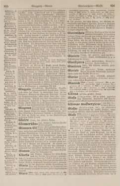 Image of the Page - 856 - in Pierers Konversations-Lexikon - Front Range - Hallenkirche, Volume 6