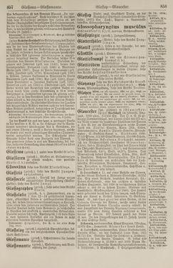 Image of the Page - 858 - in Pierers Konversations-Lexikon - Front Range - Hallenkirche, Volume 6