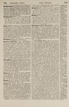 Image of the Page - 1206 - in Pierers Konversations-Lexikon - Front Range - Hallenkirche, Volume 6